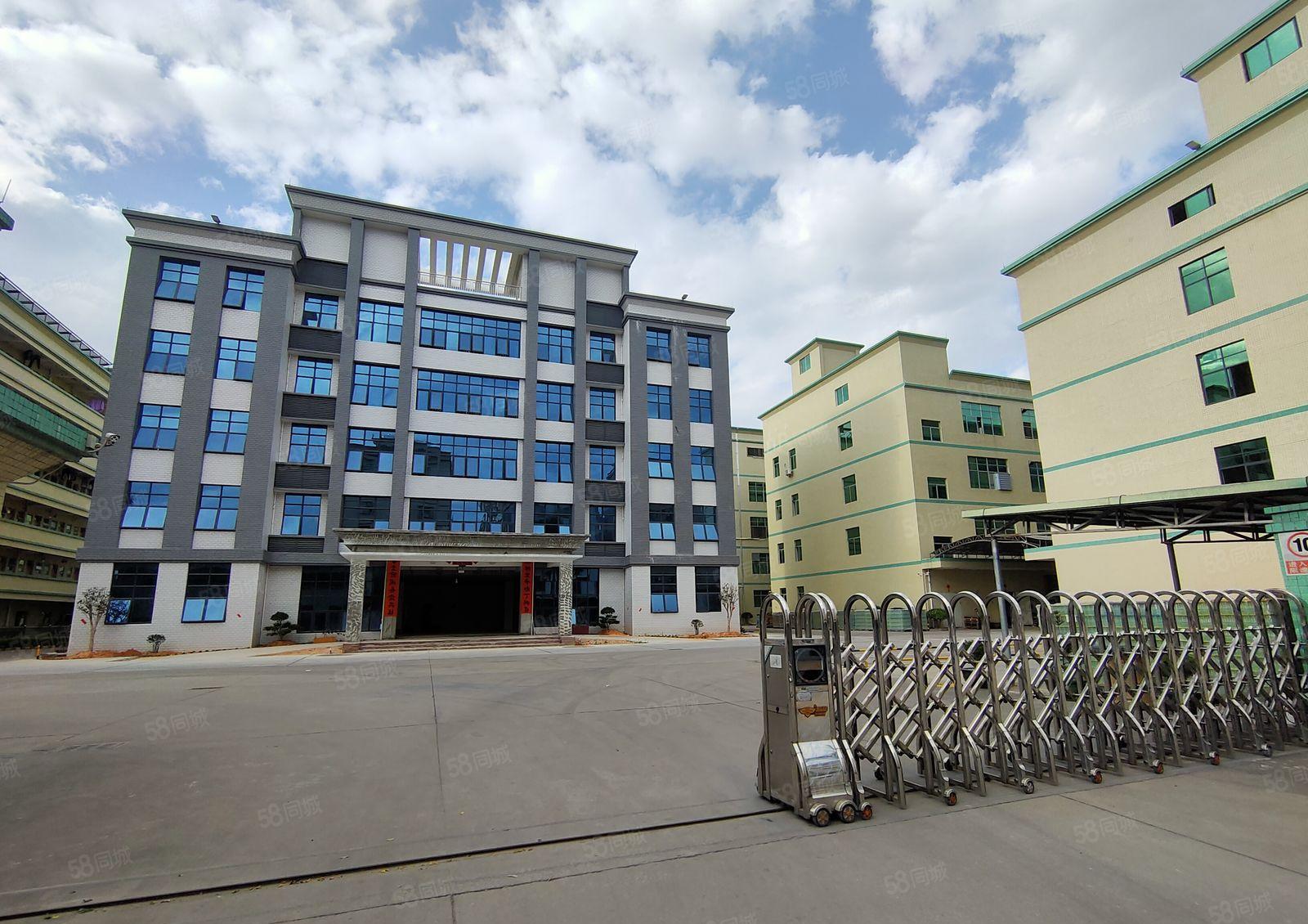 坂田上雪科技园2000平红本厂房仓库招租，带装修超大空地