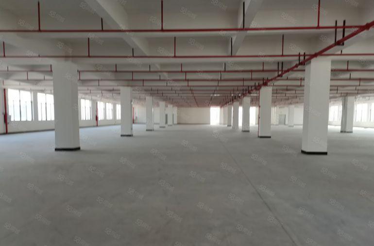 20元低价起租平湖富民工业园区内楼上1000平带装修厂房出租