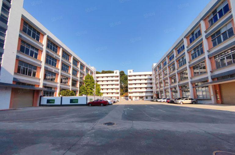 宝龙原房东科技园楼上1000平方精装修办公室厂房仓库出租