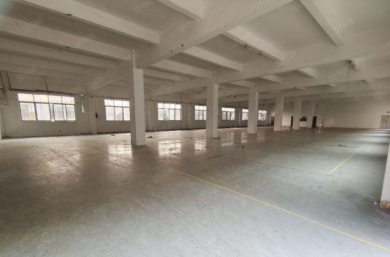 龙岗同乐独院厂房出租一楼1000平带地坪漆精装修办公室可分租