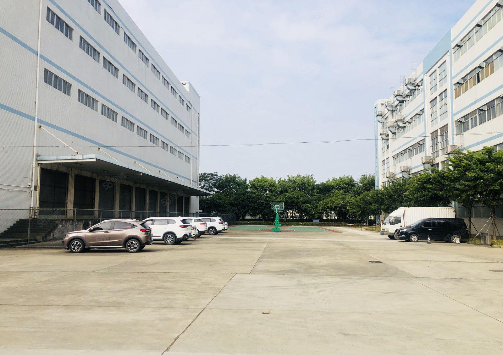 高7米单层4000平带卸货平台龙岗宝龙8000平独栋厂房招租