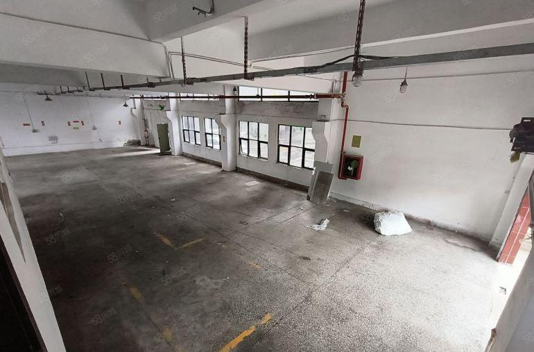 龙岗独门独院厂房带宿舍20元起一手房东0押金