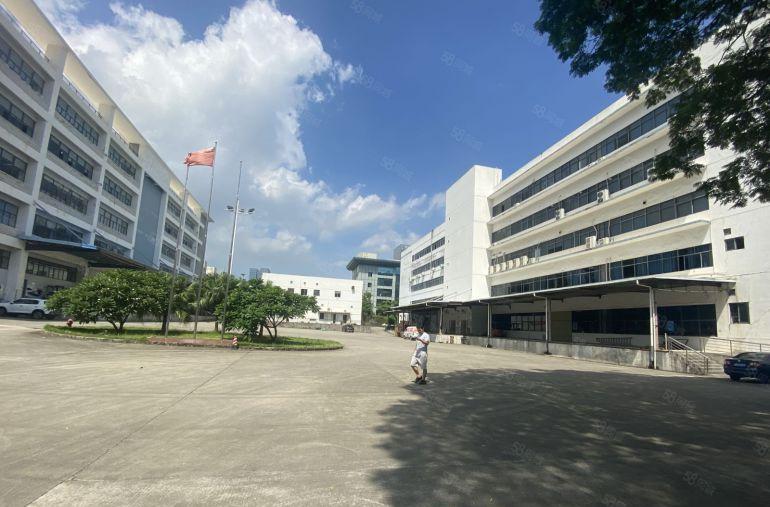 19元起村委直租横岗工业区新出1000平精装办公仓库厂房出租