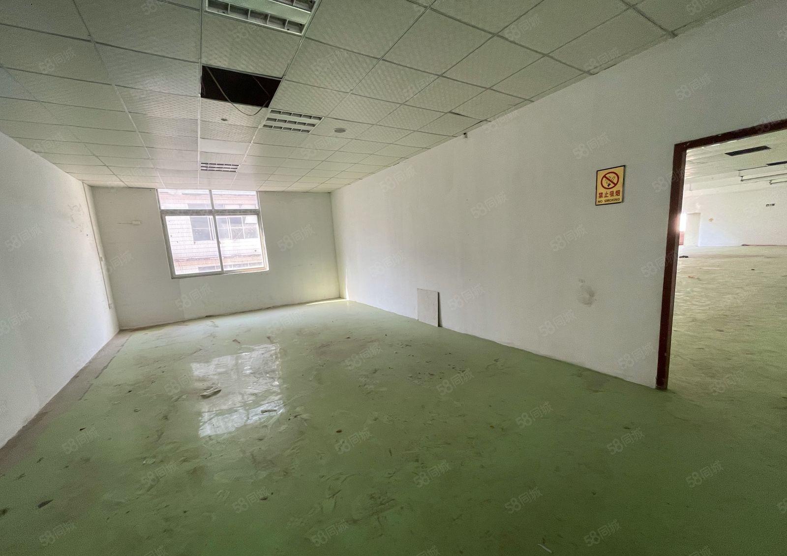 坂田350平米厂房出租，不限行业