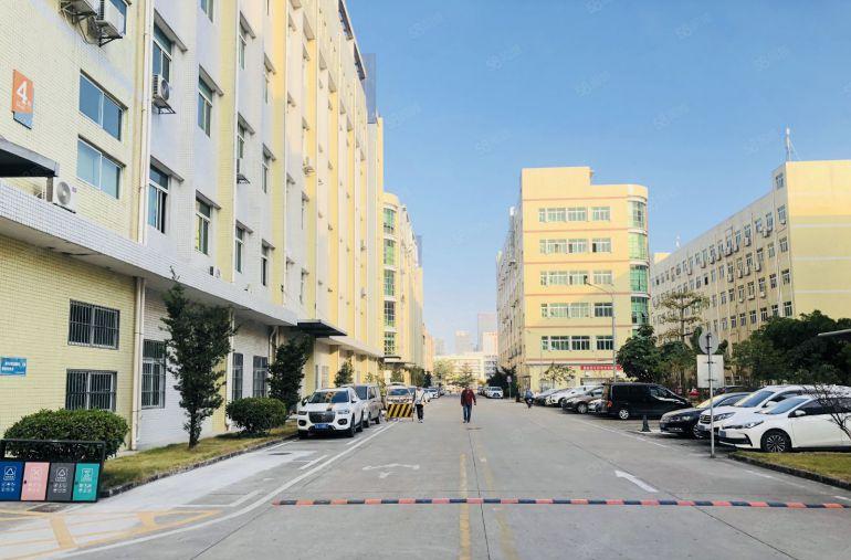 龙岗同乐新布工业园楼上500平带装修办公室厂房实际面积出租