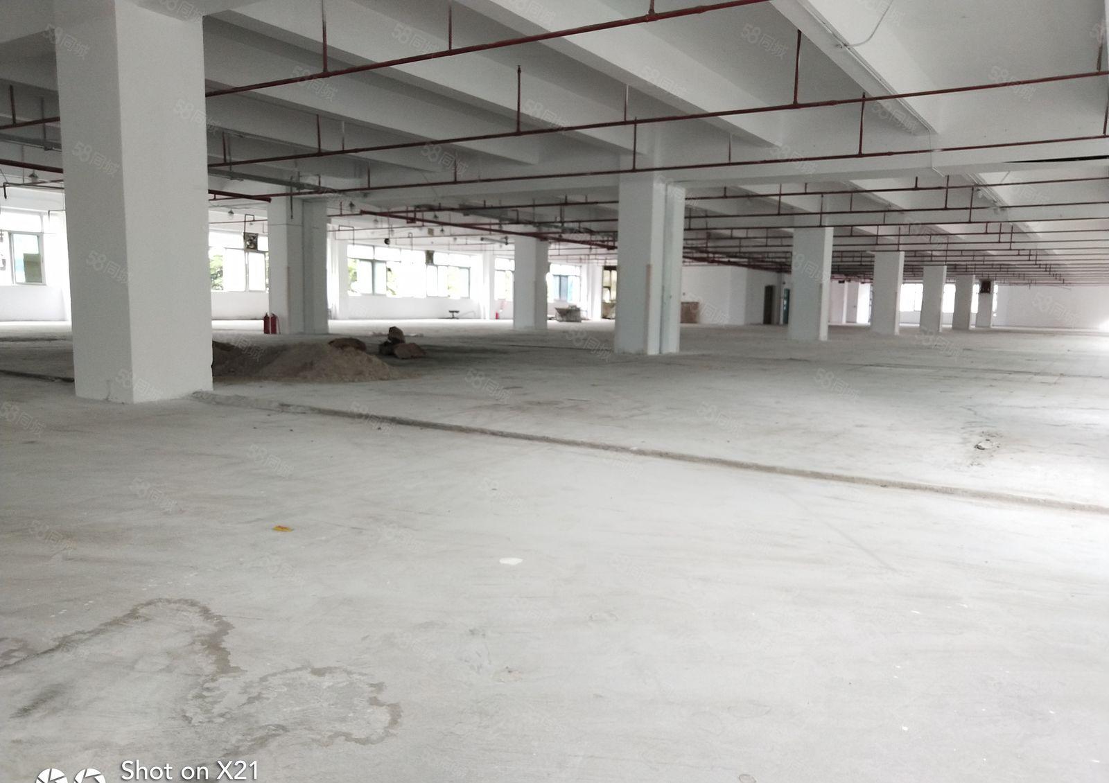 坂田独院厂房8000平米，大小分租，可分租300，500平米