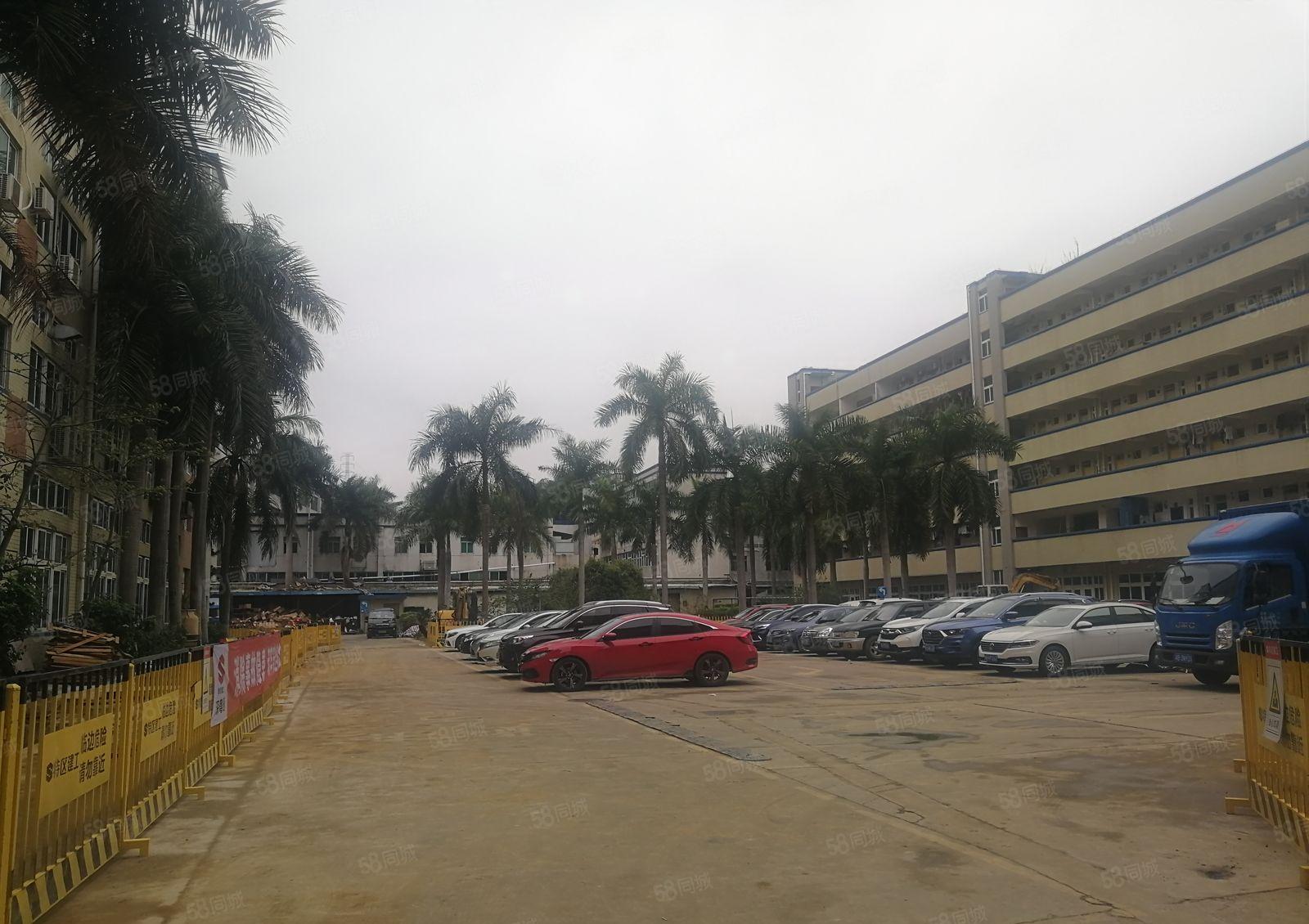 龙岗中心城二楼厂房出租1000平米大小可分租