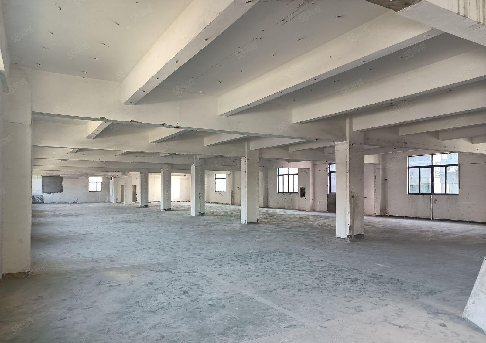 龙岗平湖华南城高新技术产业园全新装修整栋4650平米厂房出租