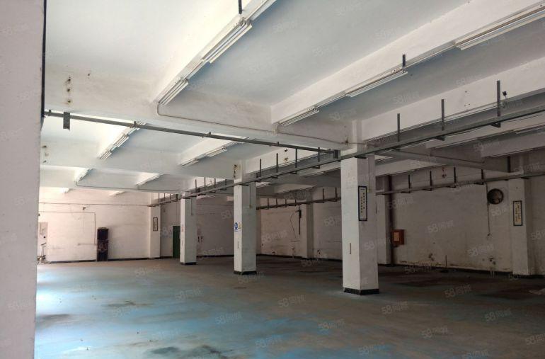 环境优美横岗荷坳工业园一楼2000平独院带卸货平台厂仓库出租