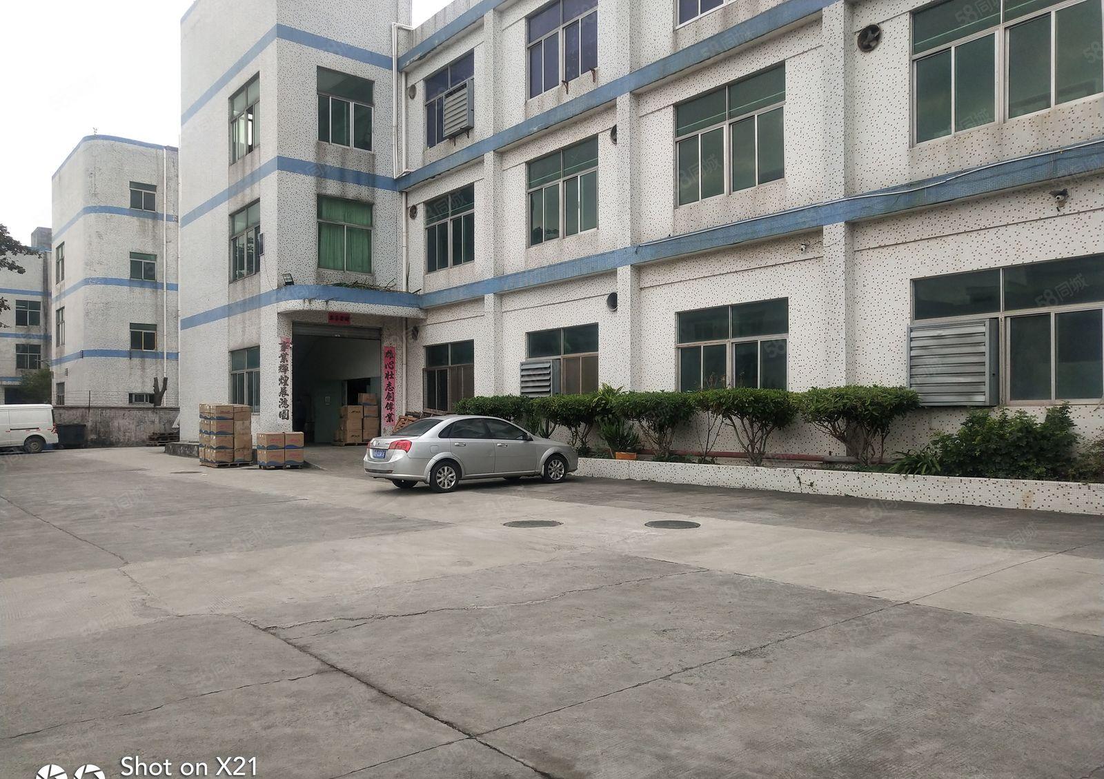 华南城附近独院厂房3300平米，一楼1100，可分600