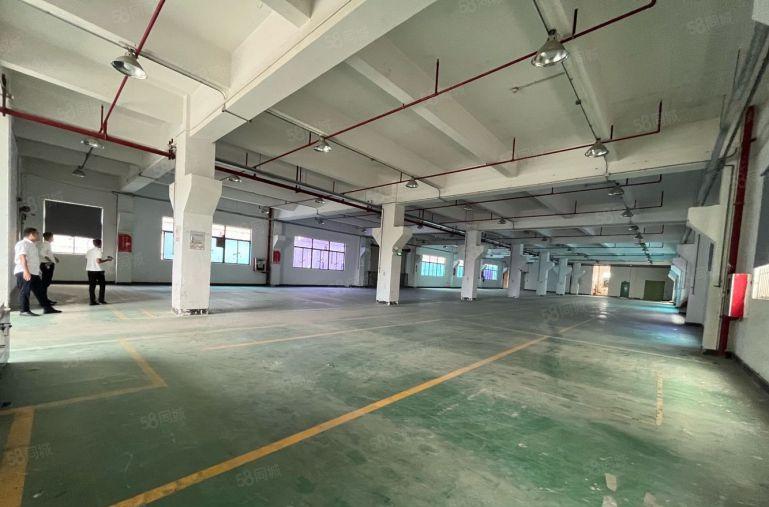 坂田上雪2楼实际面积出租1500平原房东带红本厂房出租