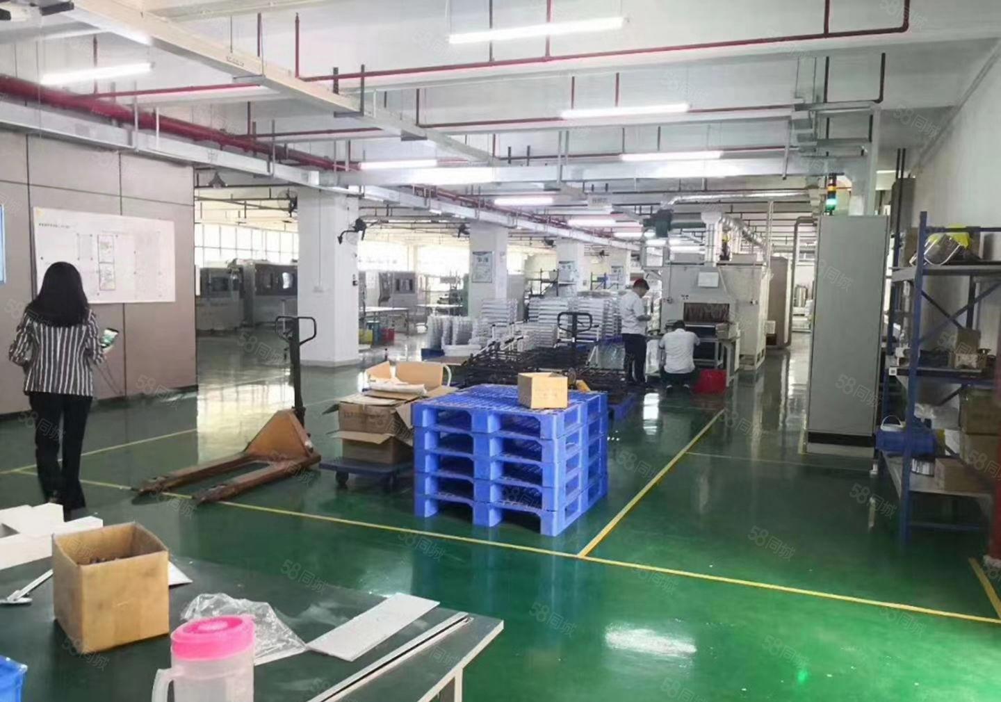 大小面积分租！带装修出租！南联恒裕科技园新出1000平米厂房