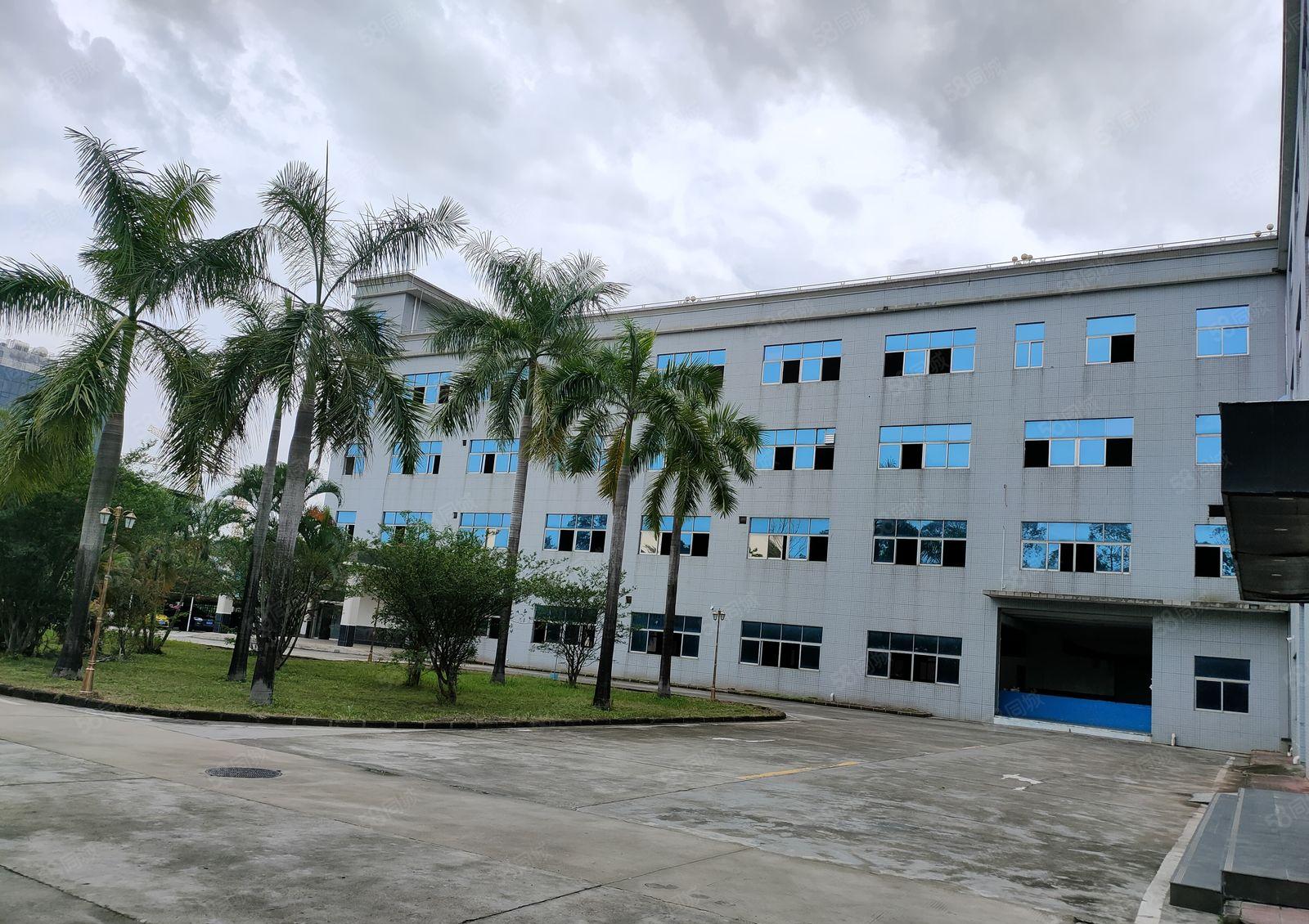 龙岗同乐2000平5000平8000平1万平方独院独栋出租