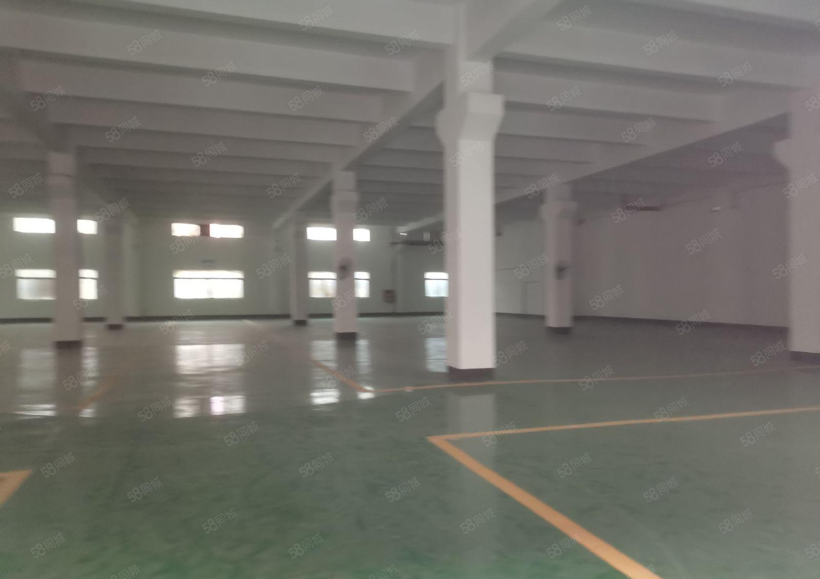 平湖富民标准一楼2000平方带牛角厂房出租