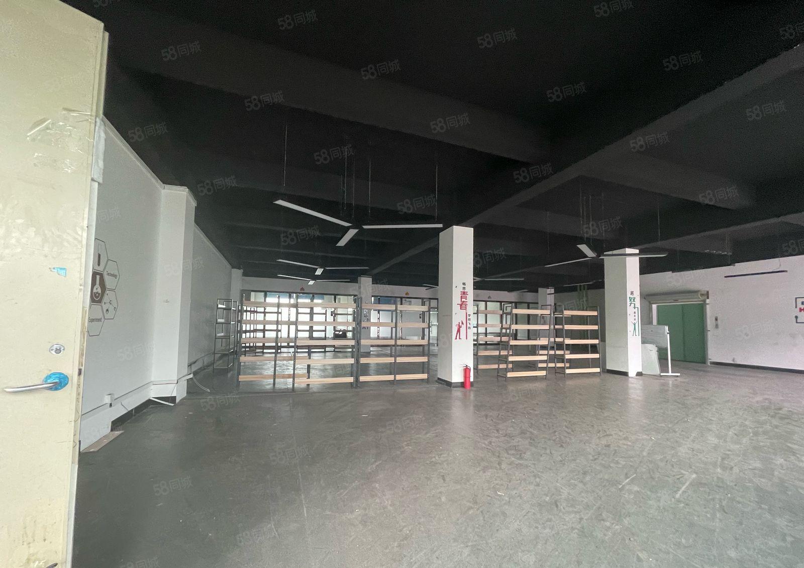 (华南城附近独院厂房出租楼上1256平大小可分租)