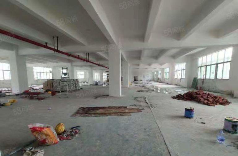 平湖华南城边上原房东全新独院出租