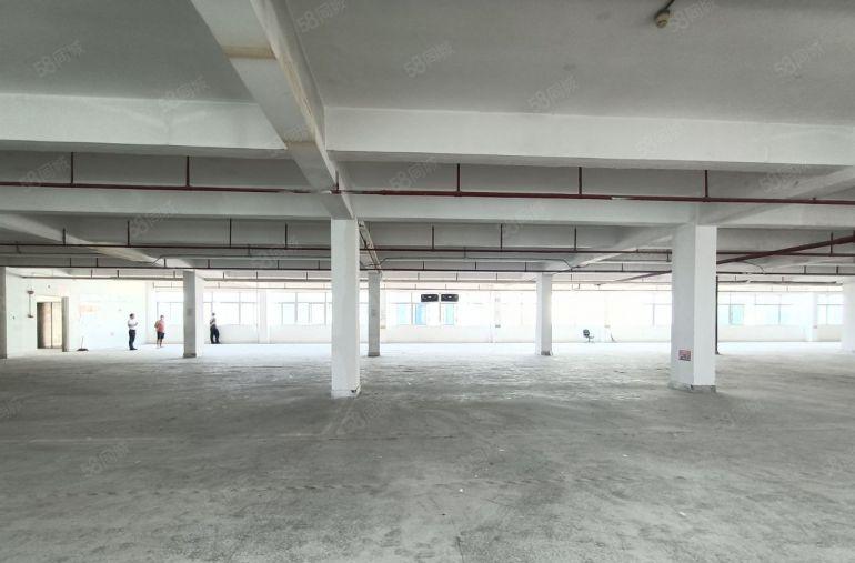 坂田地铁口厂房出租仓库出租1000平