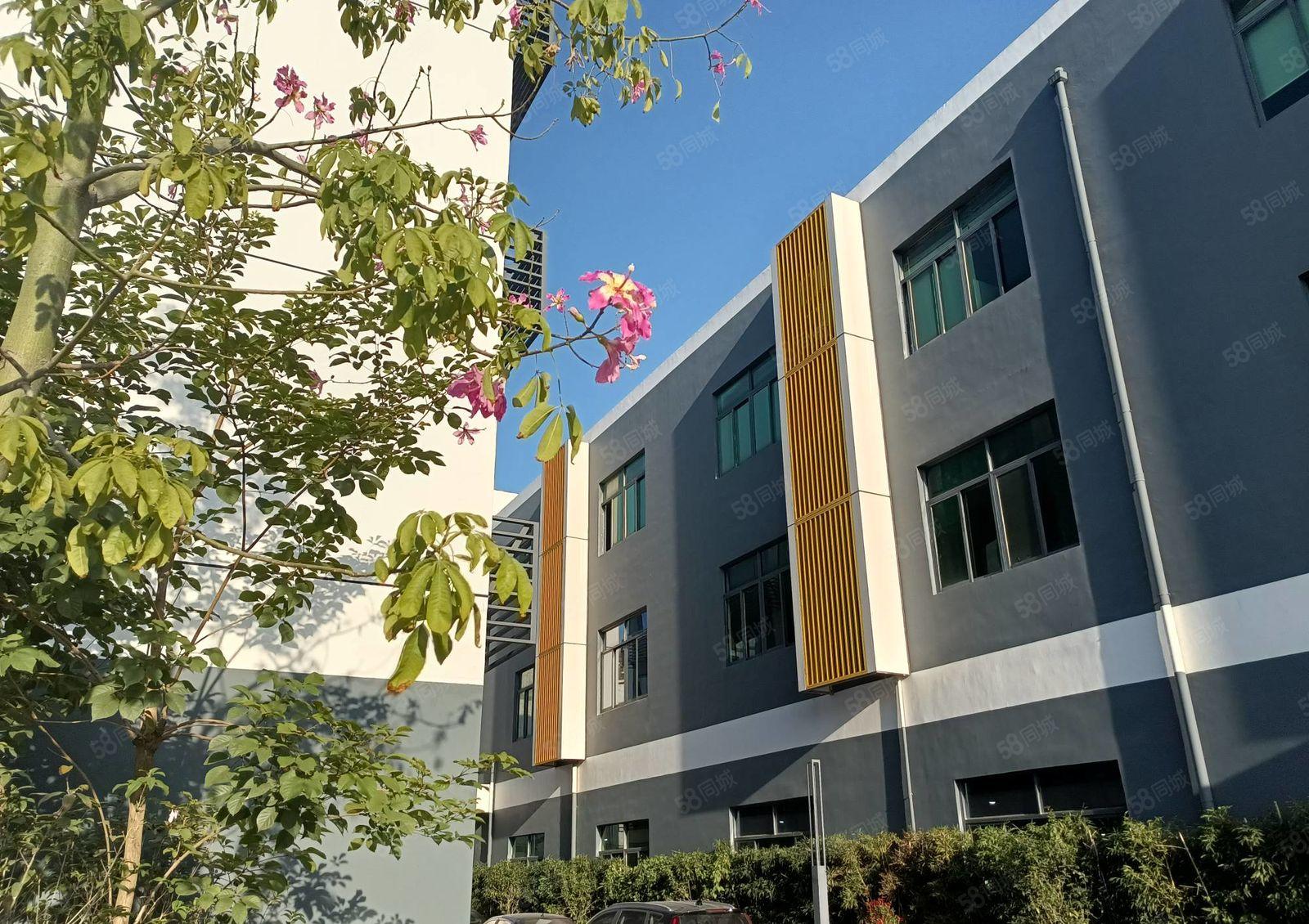 平湖华南城单层1781平米厂房业主招租高新技术产业园