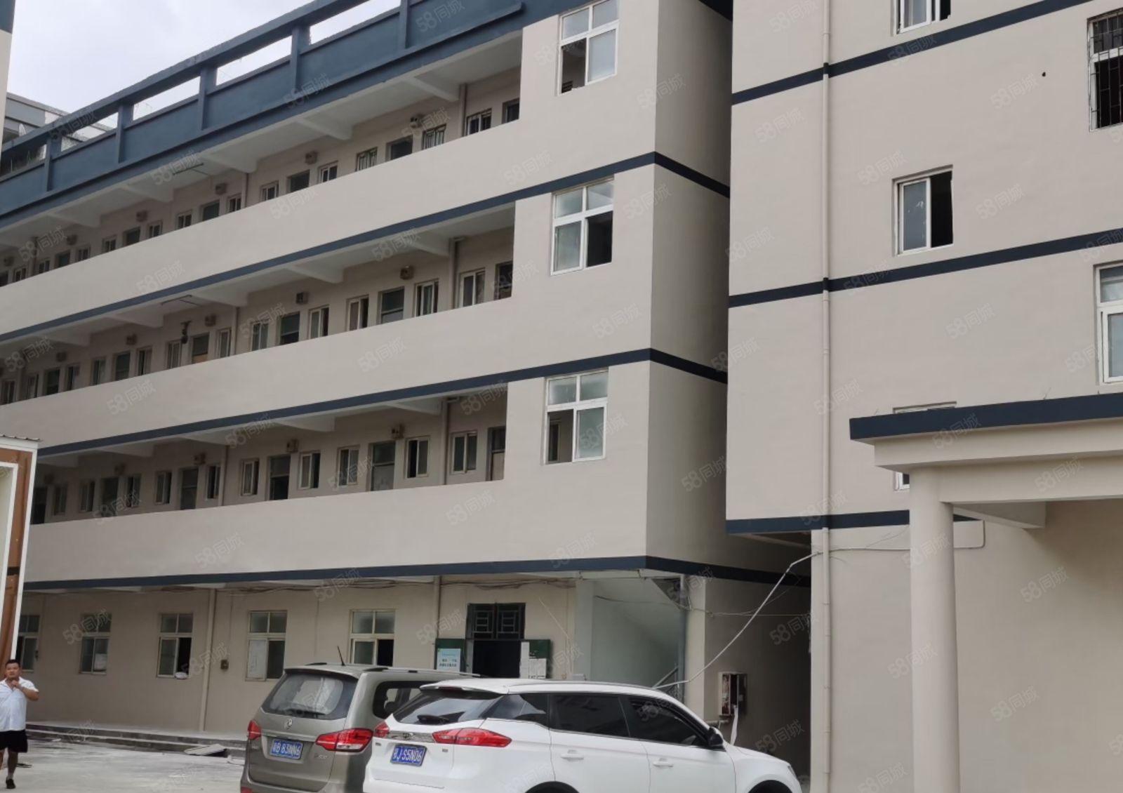 龙岗同乐红本独院厂房