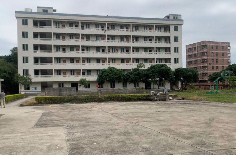 龙岗中心城仓库厂房出租30000平一楼6米原房东工业园200