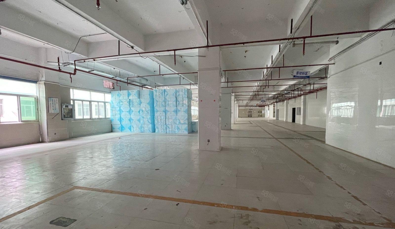 龙岗宝龙工业园2000平方可分租500平方起仓库厂房出租