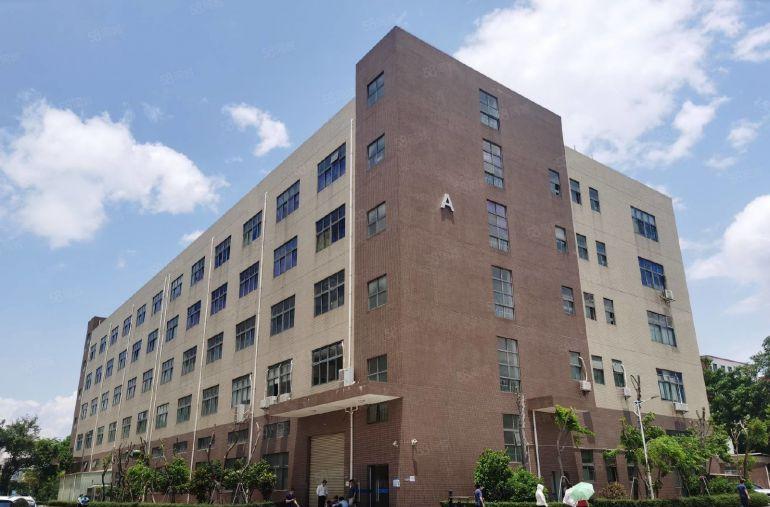 免租半年坪地高桥工业区1.2万平方红本厂房仓库出租可分租