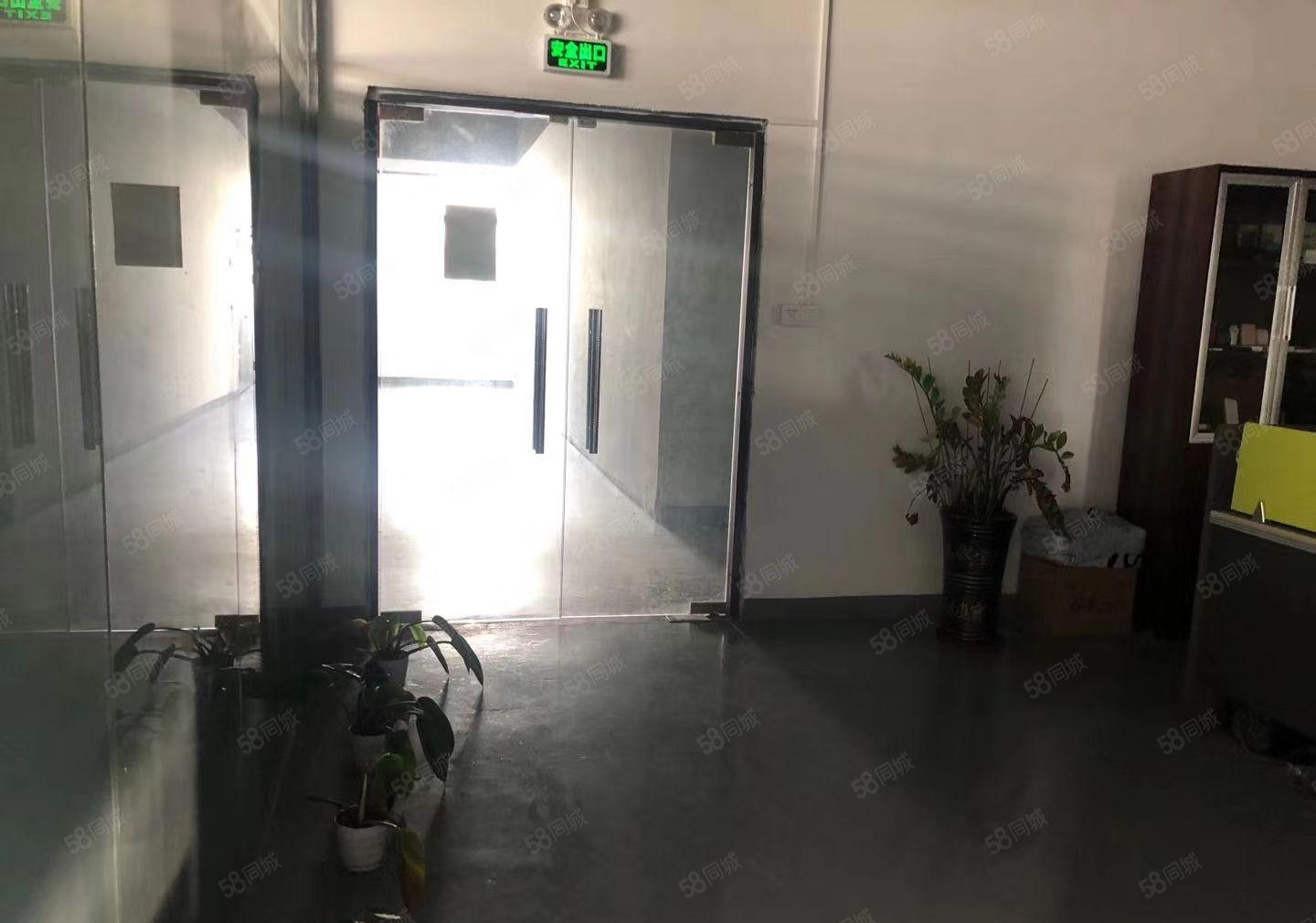 龙岗淘宝电商办公仓库贸易产业园100平200平400平出租