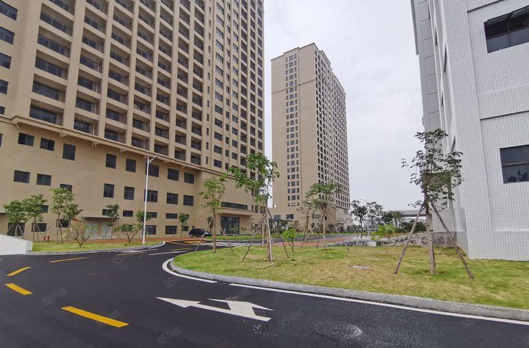 （租）横岗大型产业园原房东出租免租期12个月起 研发办公仓库