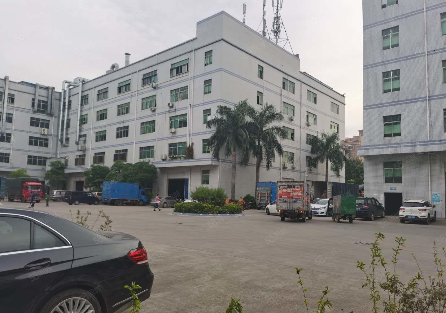 20元租平湖独院厂房出租宿舍招租价格低易招工