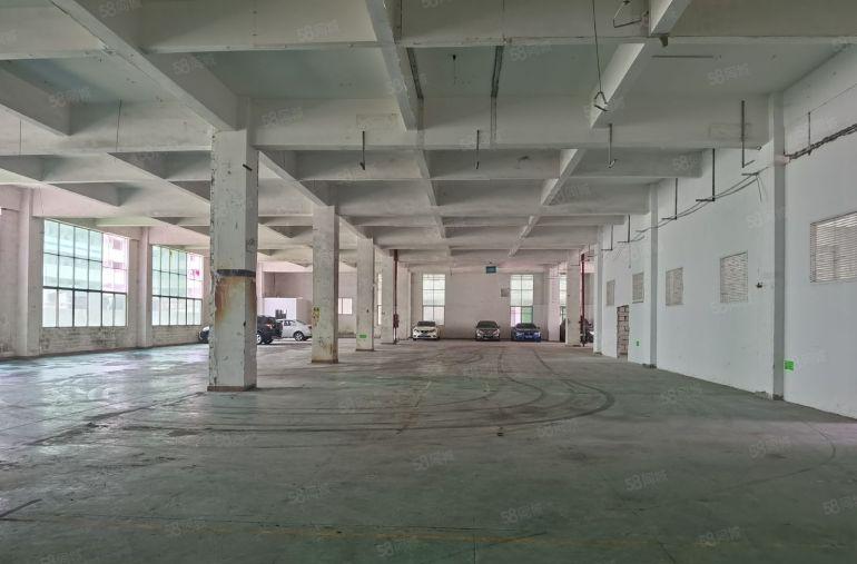 龙岗中心城龙西原房东红本独院厂房仓库1950平出租层高6米