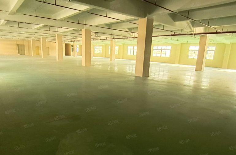 200平起租龙岗横岗5000原房东独院红本厂房仓库22元起