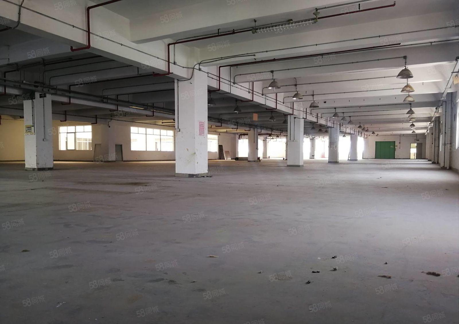 大运中心城附近原房东独院厂房分租1楼1000平米200起租