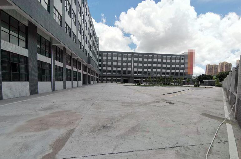 坂田北新出楼上单层面积1000平现成办公室仓库厂房低价出租