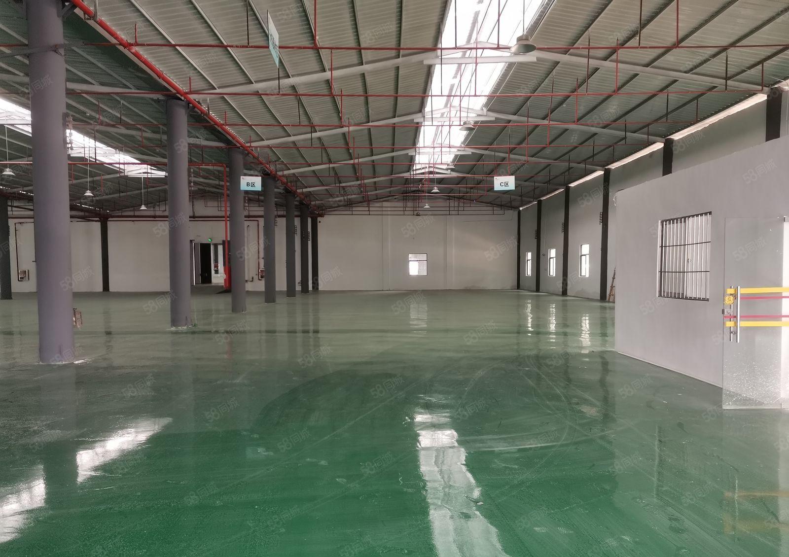 坪地富地工业园区原房东红本钢结构5000平方！滴水8米可分租