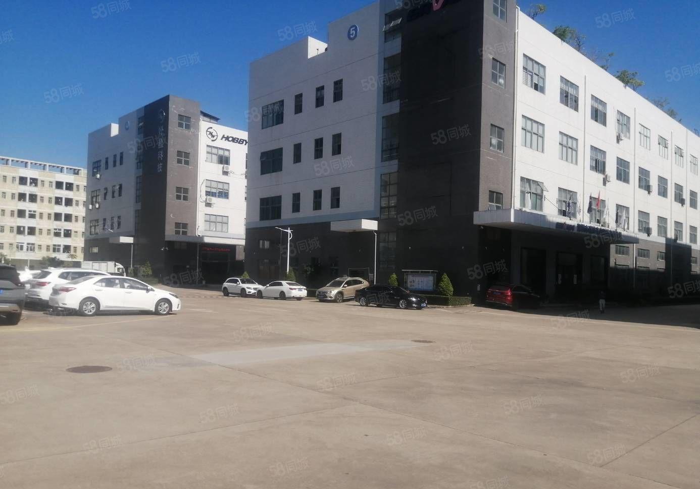 原房东高新产业园10500平精装修全新地坪漆厂房招租一楼6米