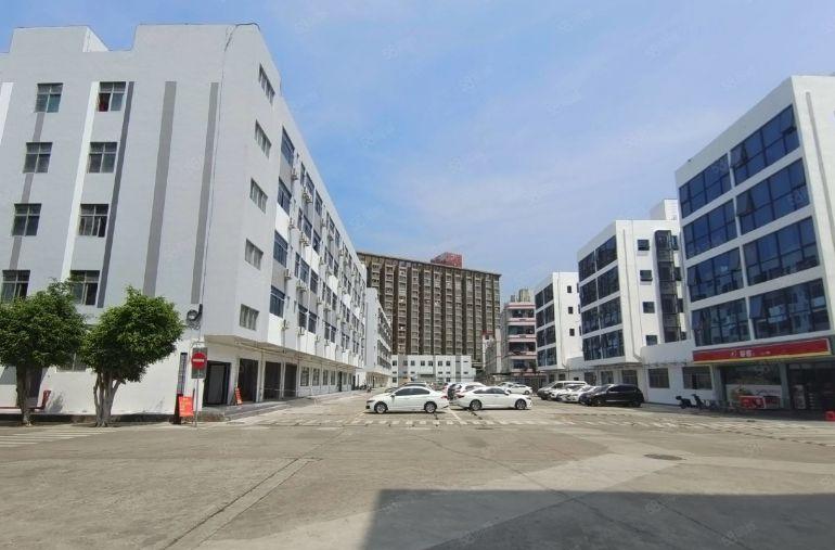 有红本可办环评横岗独栋6000平方精装修办公室厂房仓库出租