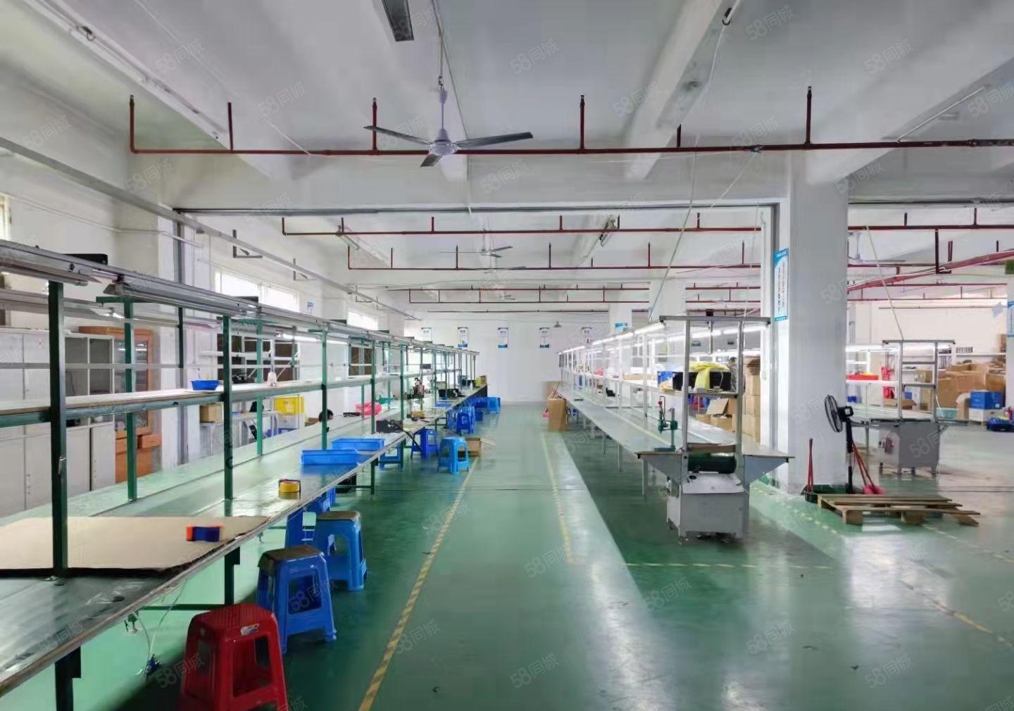 龙岗宝龙工业区3万平厂房仓库原房东20元起可分租1000平