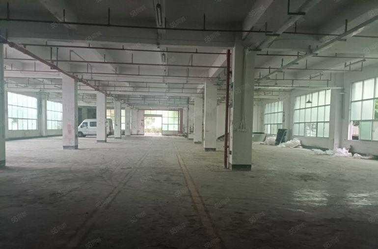 龙岗坪地中心村一楼独门独院1300平带2000平的独立院子