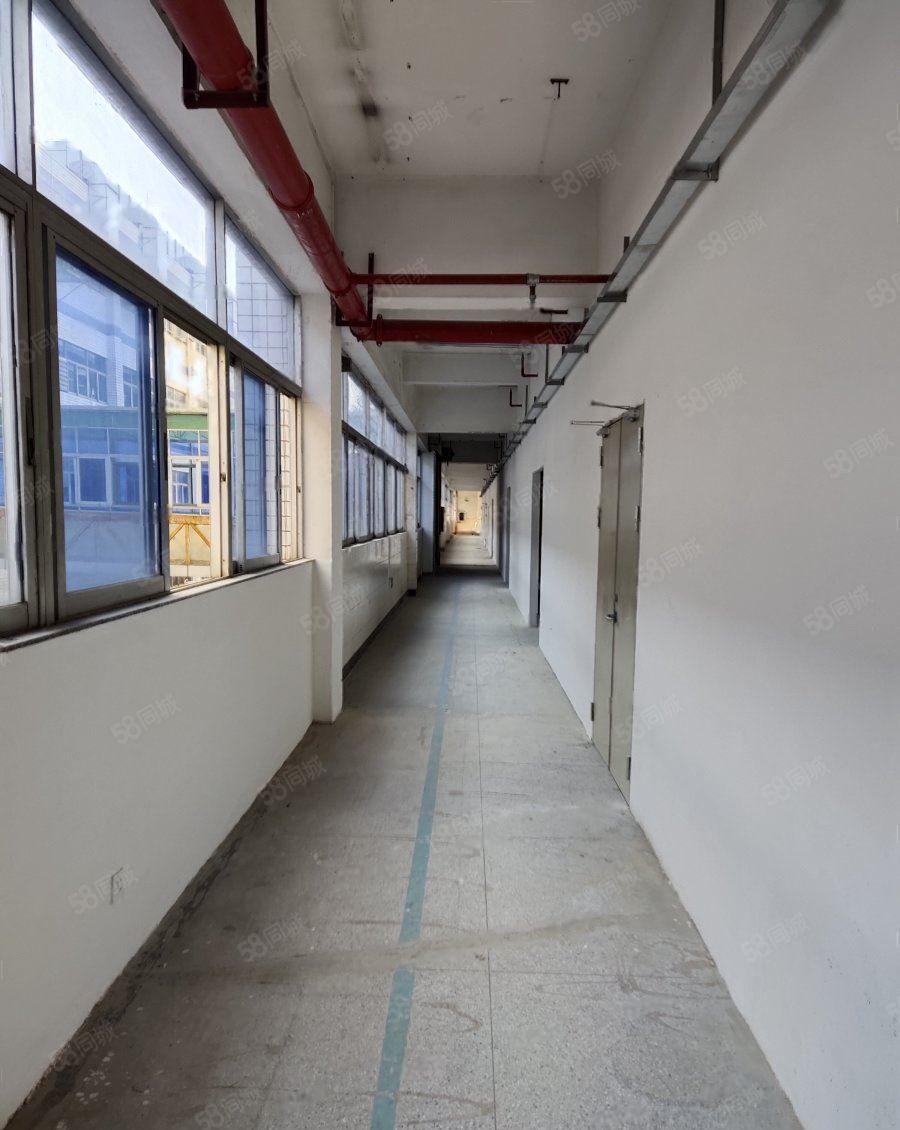 布吉布吉街原房东红本标准厂房1000平出租200平起租带卸货