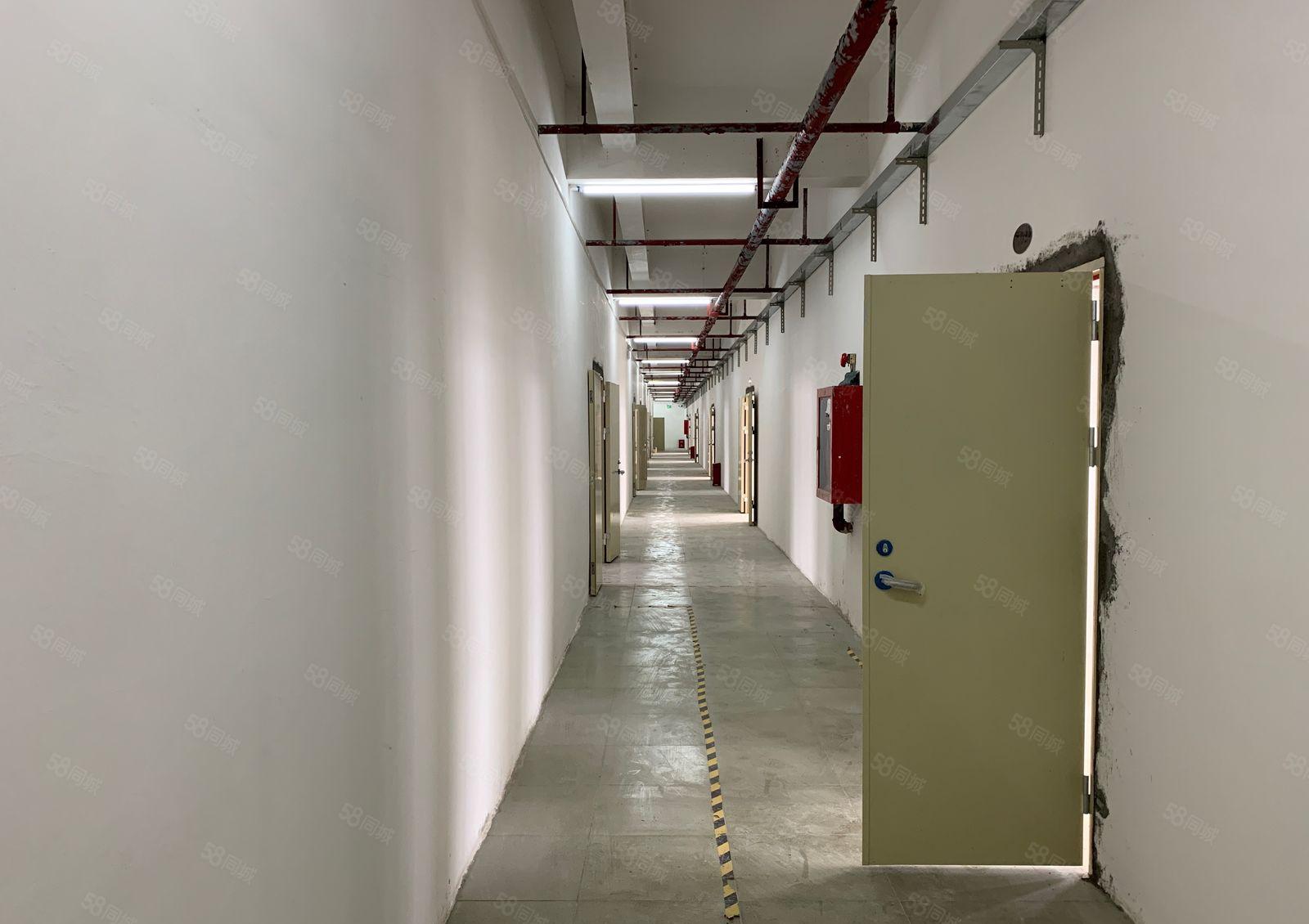 丹竹头 闽鹏程物流园 210平米138平米厂房