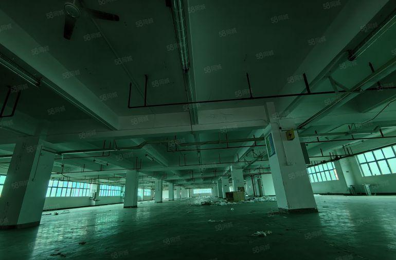 特价19.9秀布吉峰工业区原房东直3000平方130平方起租