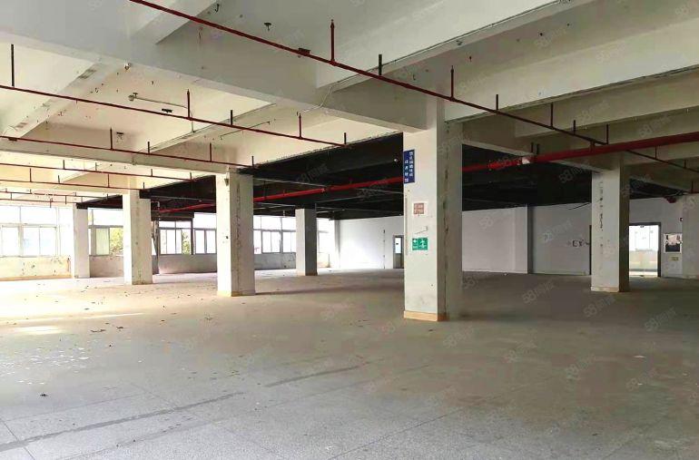 布吉高实用率一手红本主干道厂房仓储出租