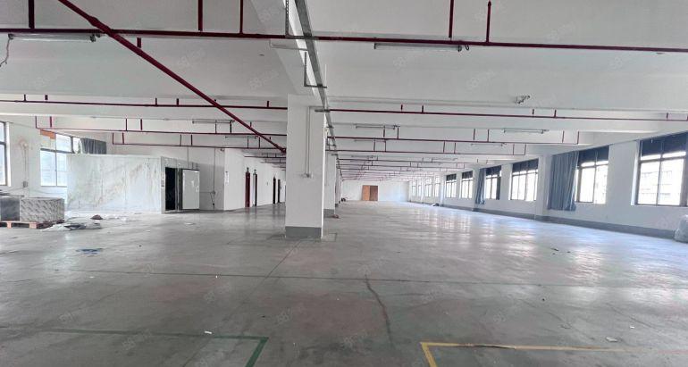 布吉原房东红本厂房仓库100平起精装办公仓库一楼都有