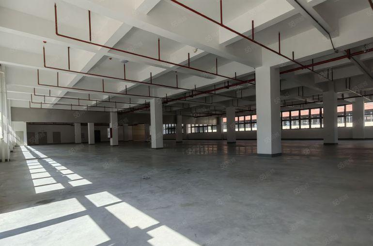 布吉地铁站靠罗湖福田原房东厂房出租1000平，仓库出租可分租