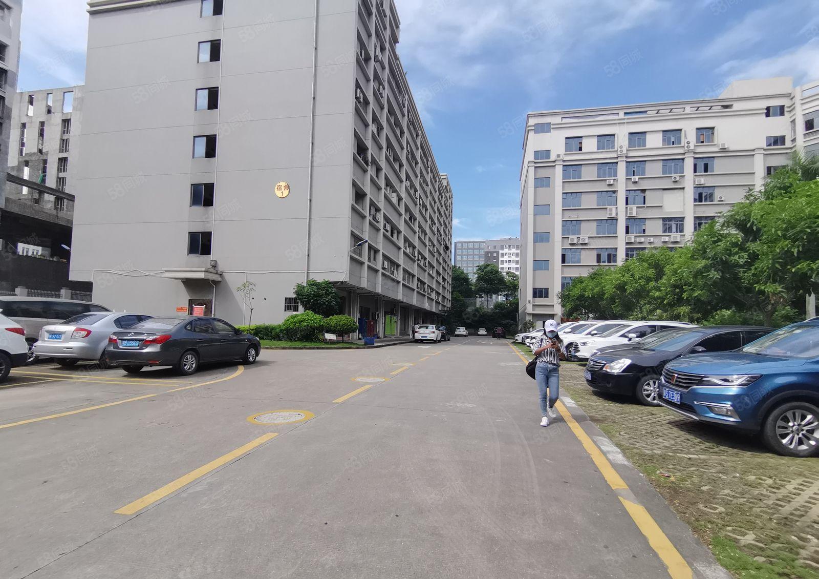 布吉李朗高新园独院精装修2百5百1千平厂房仓库写字楼低价出租