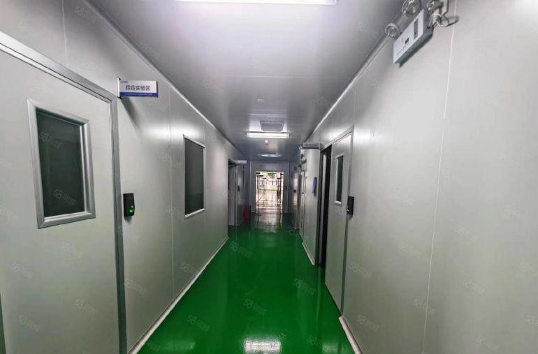 现成医疗无尘车间，豪华装修，装修花了近2，开发商直租