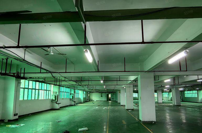 特价19.9布吉甘坑地铁口原房东花园式厂房出租3000平方。