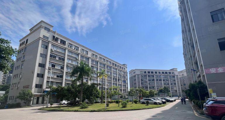 布吉原房东红本厂房仓库100平起精装办公仓库一楼都有