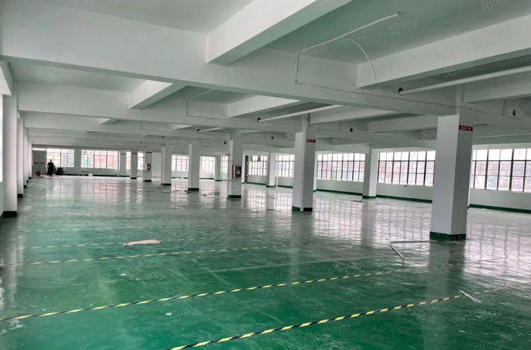 布吉甘坑地铁口原房东1500平方精装红本厂房出租。拎包进驻。