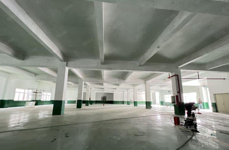 布吉上水径原房东一楼红本厂房780平方出租带精装修办公室